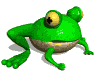Picture Of A Frog